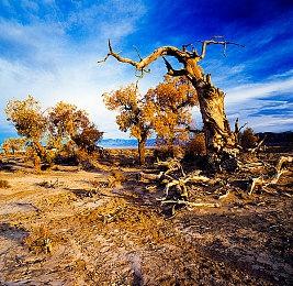 复古风格动作游戏《日食破坏者》现已在Steam平台推出试玩Demo